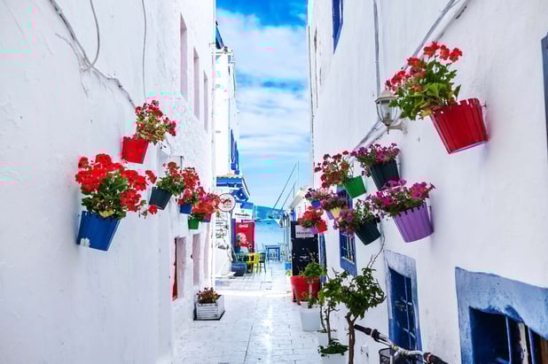 The Marmara Bodrum Attractions Bodrum Streets