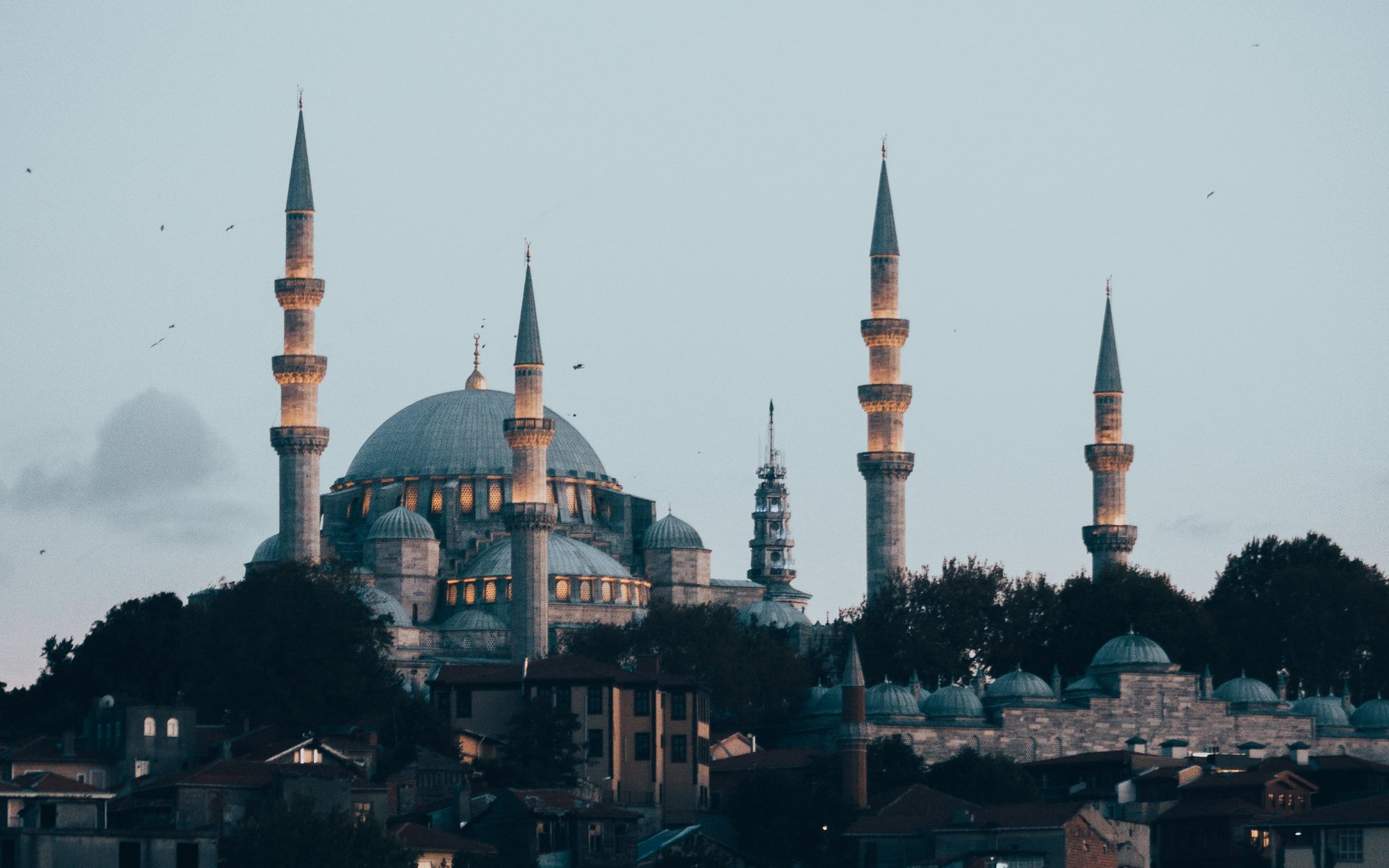 Exterior of the Suleymaniye Mosque, Seaguls around of the minaret