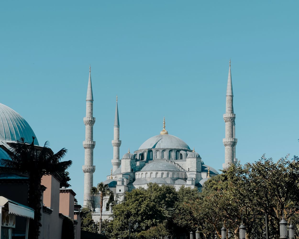 pexels-mehmet-turgut-kirkgoz-17693795-page