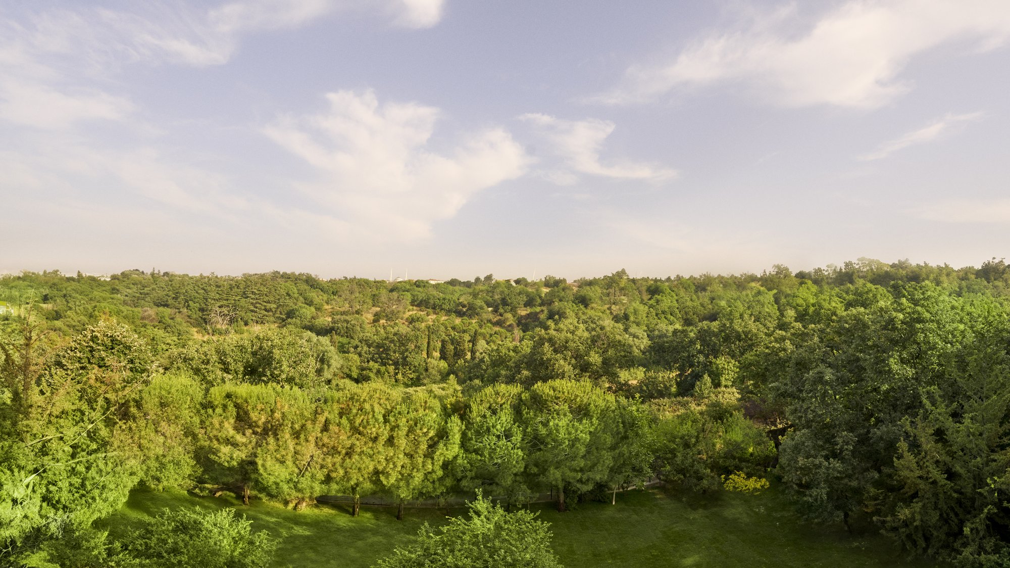 The Marmara Çamlıca Validebağ Koru Manzarası