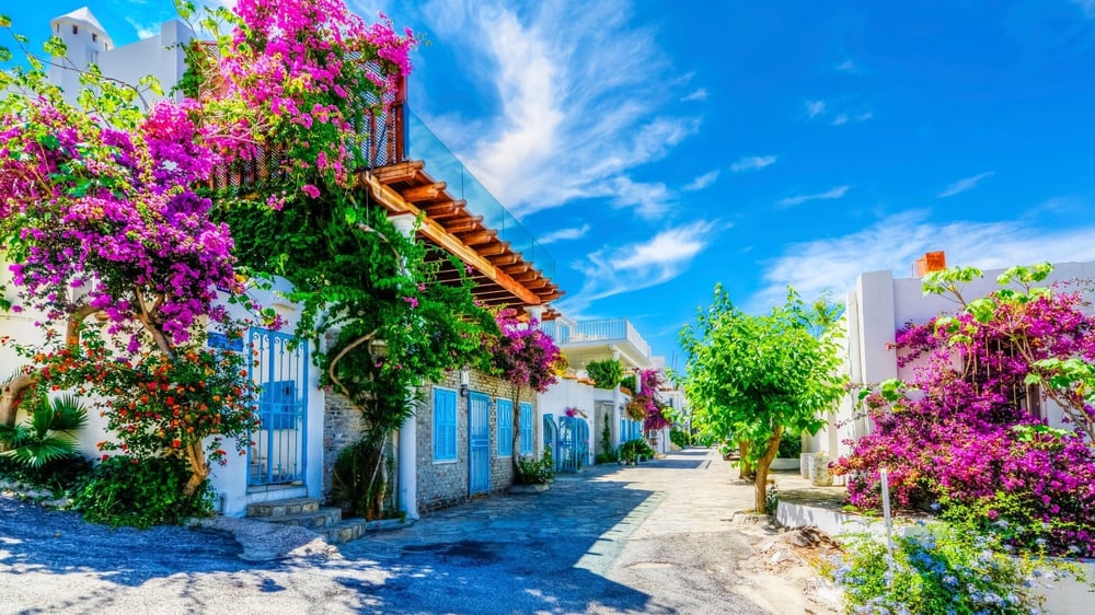 Spring Awakening in Bodrum: From Tangerine Groves to Quiet Villages