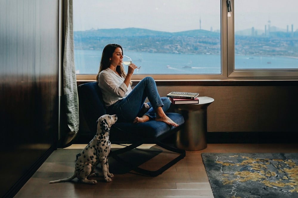 the-marmara-taksim-pet-friendly-card