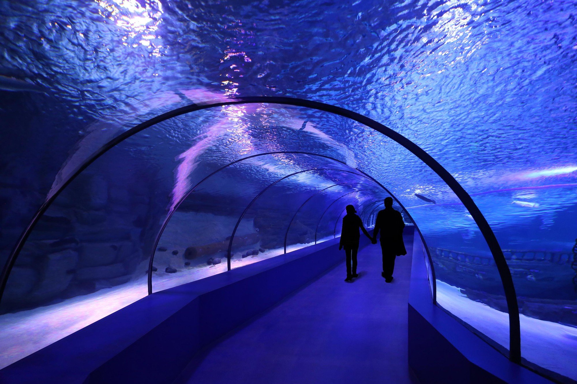 Antalya-Aquarium-tunnel