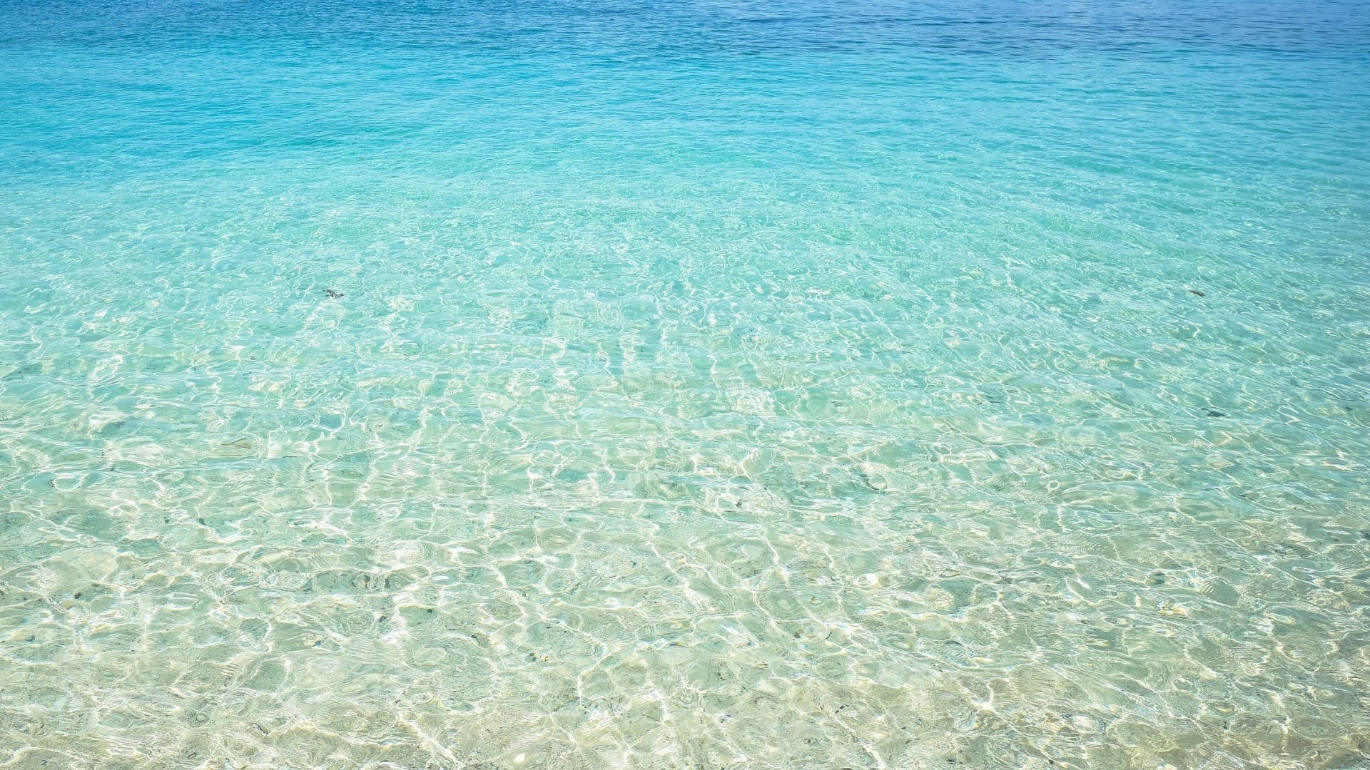 Antalya'daki Mavi Bayraklı Plajlar: Temiz ve Güvenli Sahiller