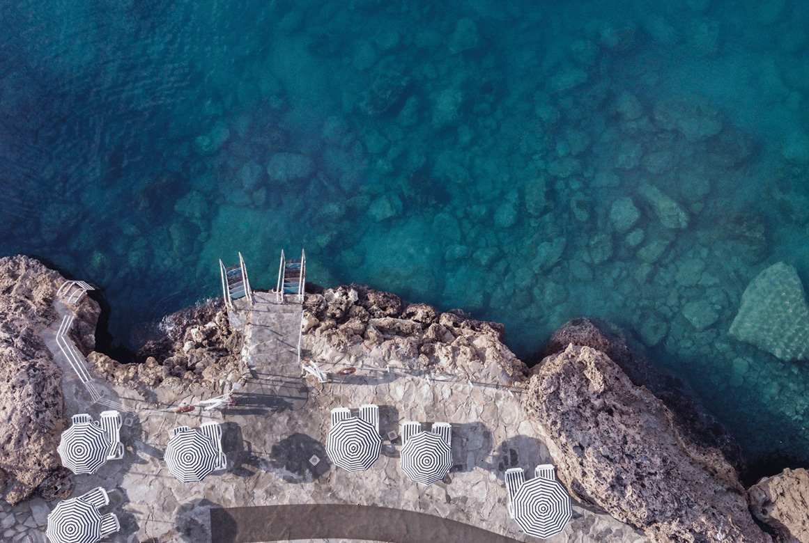 An Odyssey of Life on the Cliffs