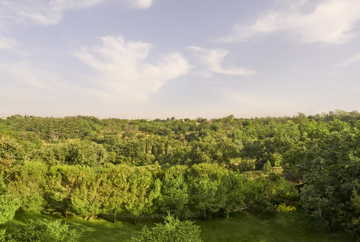 Doğanın Panoramik İmzası