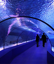 Antalya Aquarium