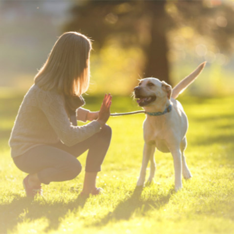 the-marmara-camlica-pet-friendly-firsati-card.jpg