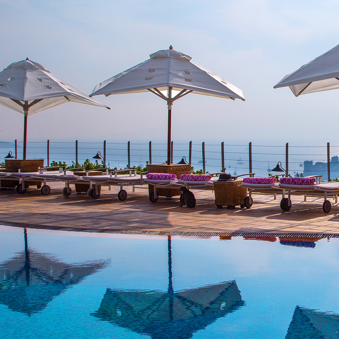 the-marmara-bodrum-spa-havuz-card.jpg (1)