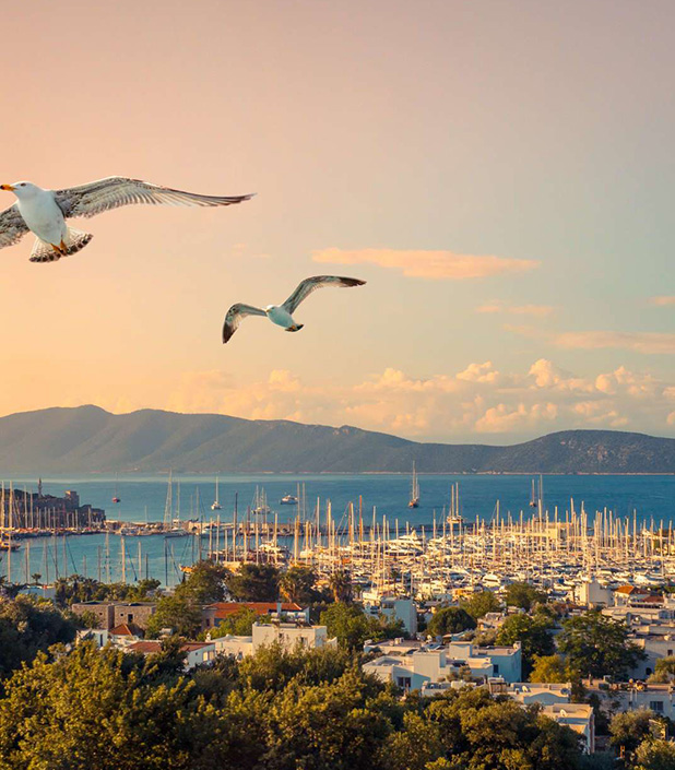 the-marmara-bodrum-oteli-kesfet-galeri-8.jpg