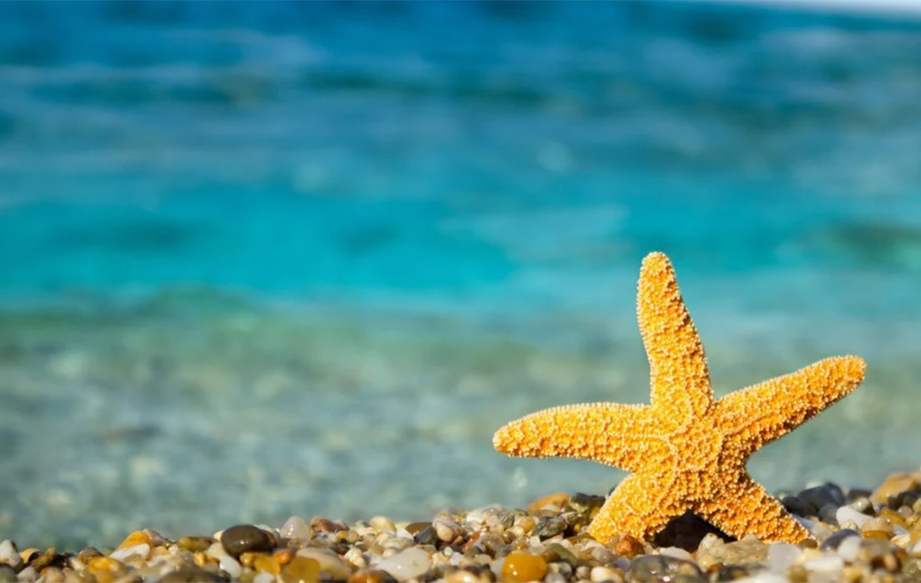 Experience the warmth of the sun, the calm of the sea, and the charm of nature during the yellow summer. Discover how to make summer last longer!