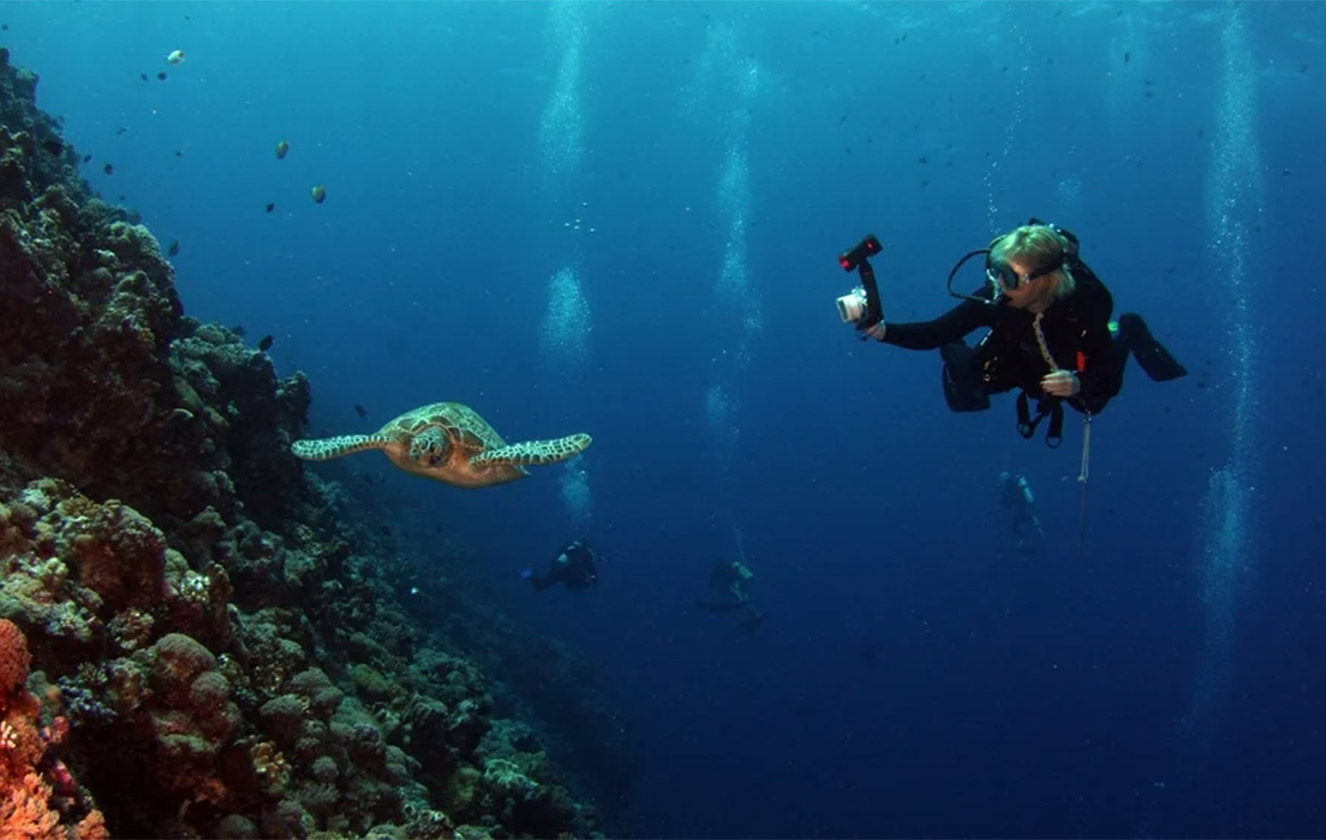 The Magic of the Underwater World: Discover the Best Scuba Diving Spots in Bodrum