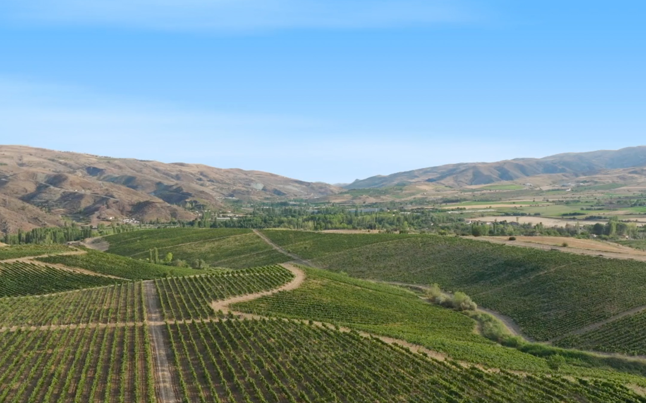 the-marmara-vinkara-banner-desktop.jpg
