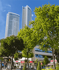 Bagdat Avenue